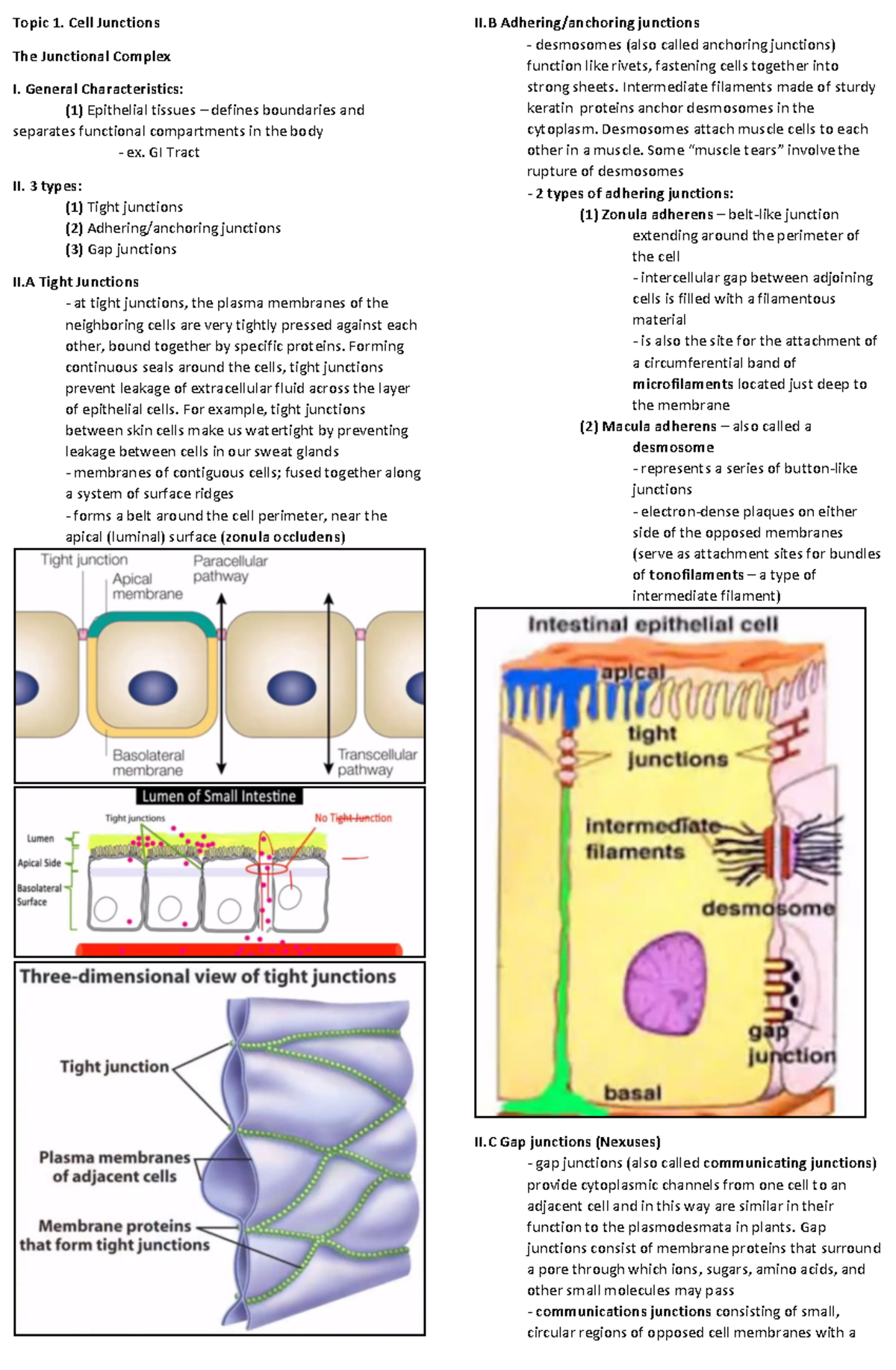 1-about-cells-topic-1-cell-junctions-the-junctional-complex-i