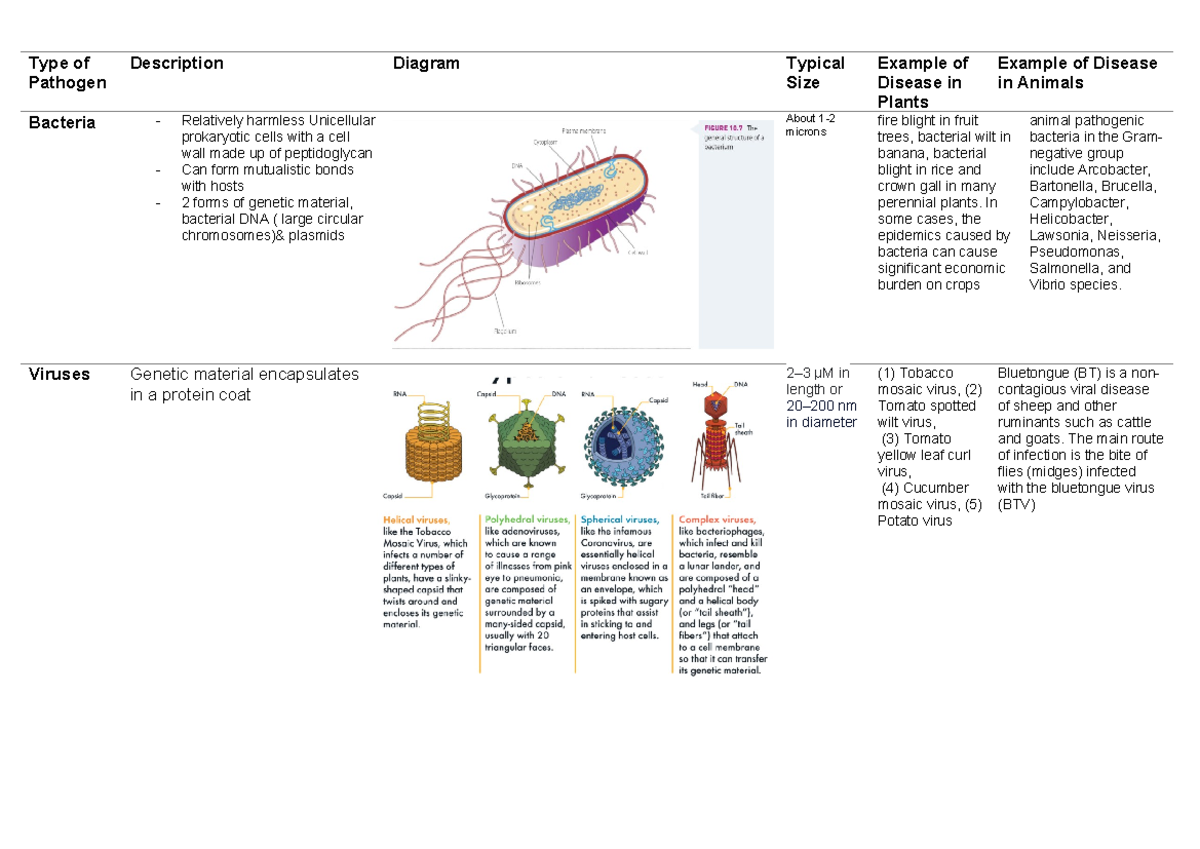 Summary Table - Types of Pathogens - Type of Pathogen Description ...