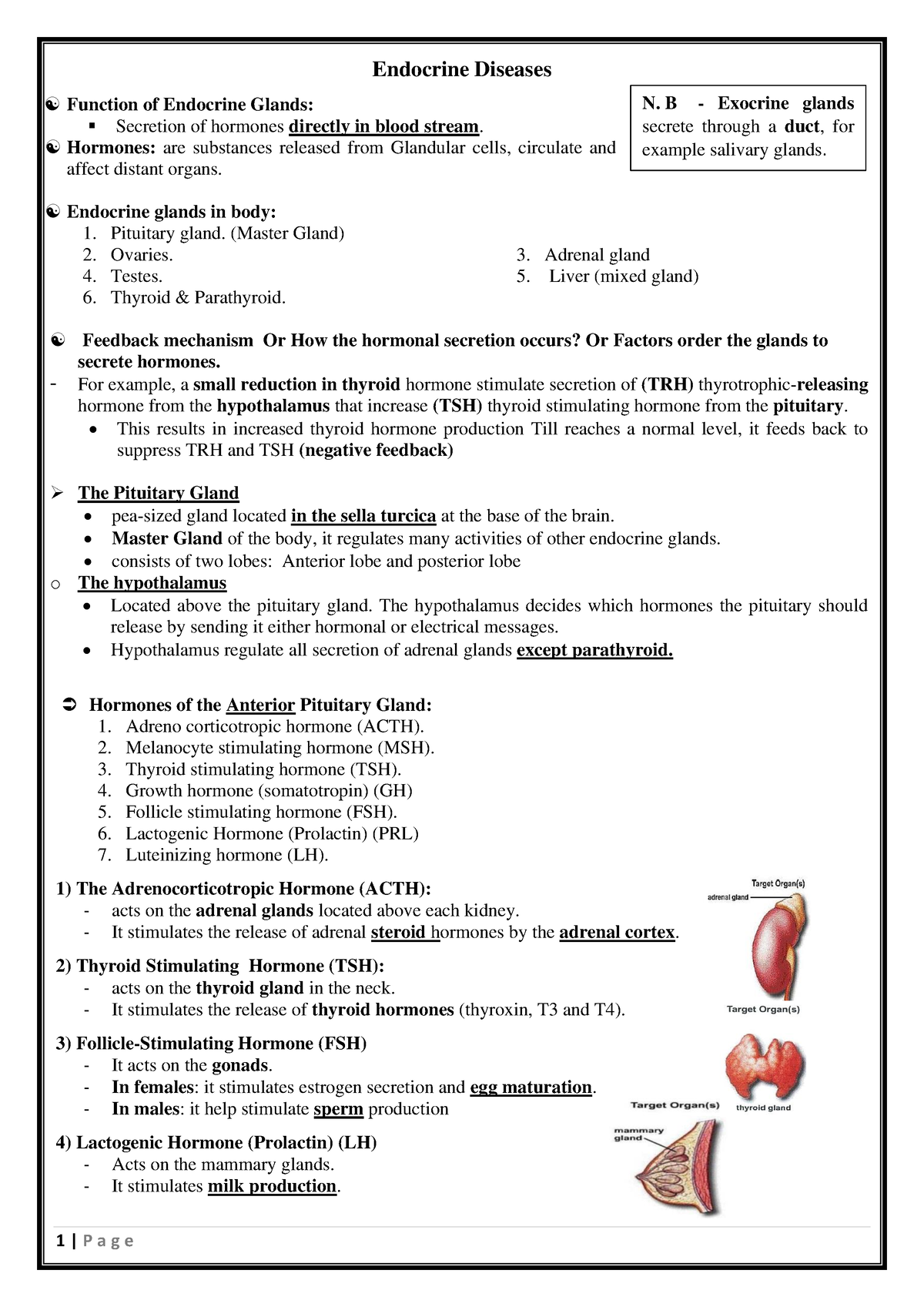 02- Endocrine disease - Endocrine Diseases Function of Endocrine Glands ...