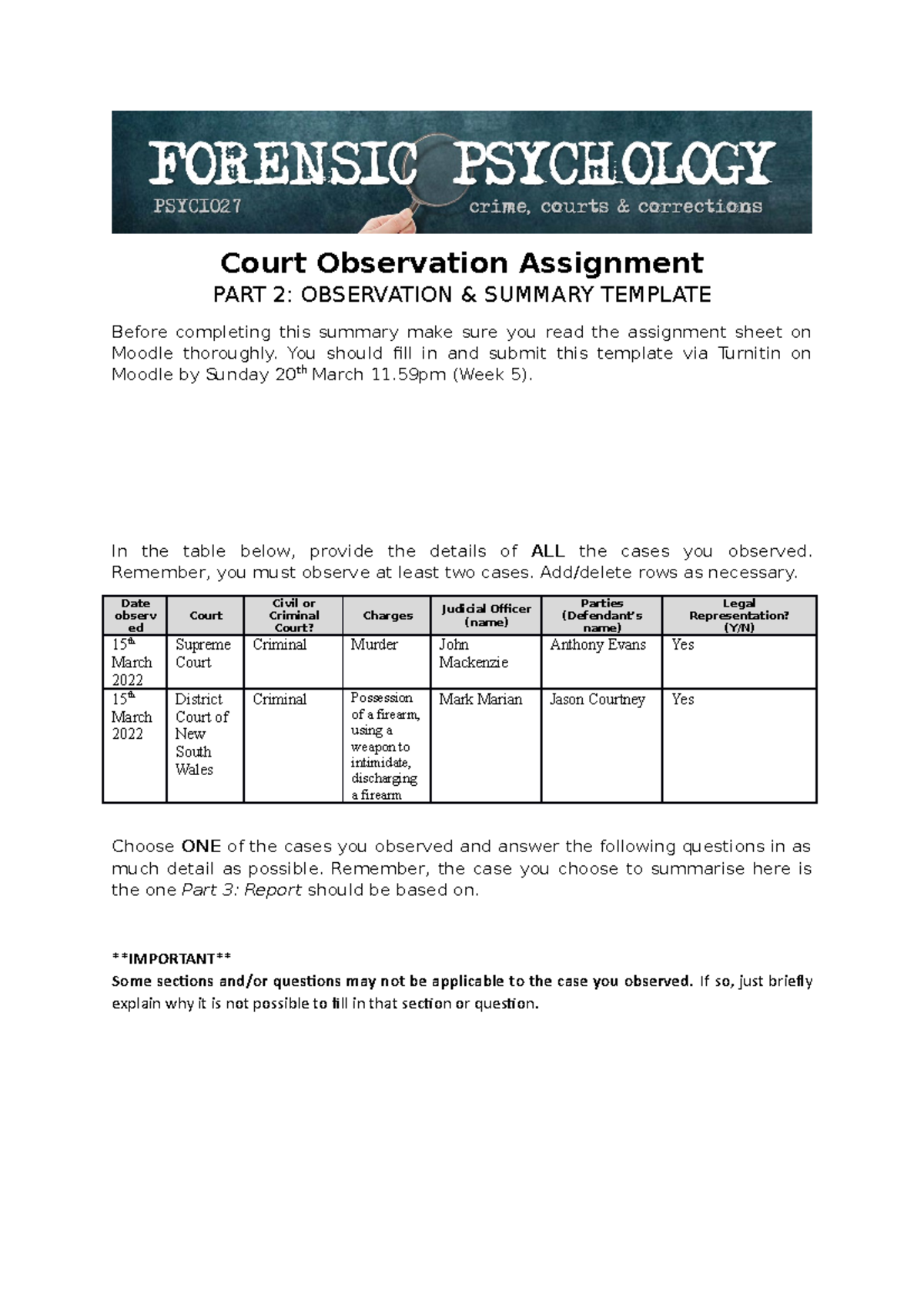 court observation assignment example