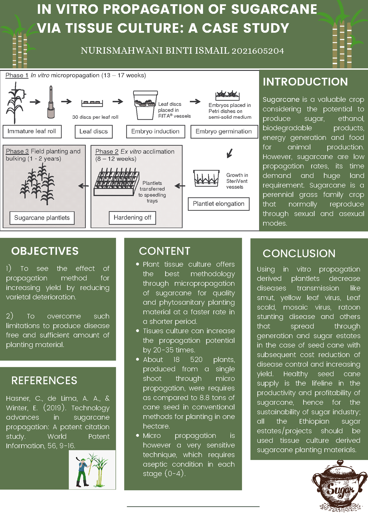 sugarcane tissue culture research paper