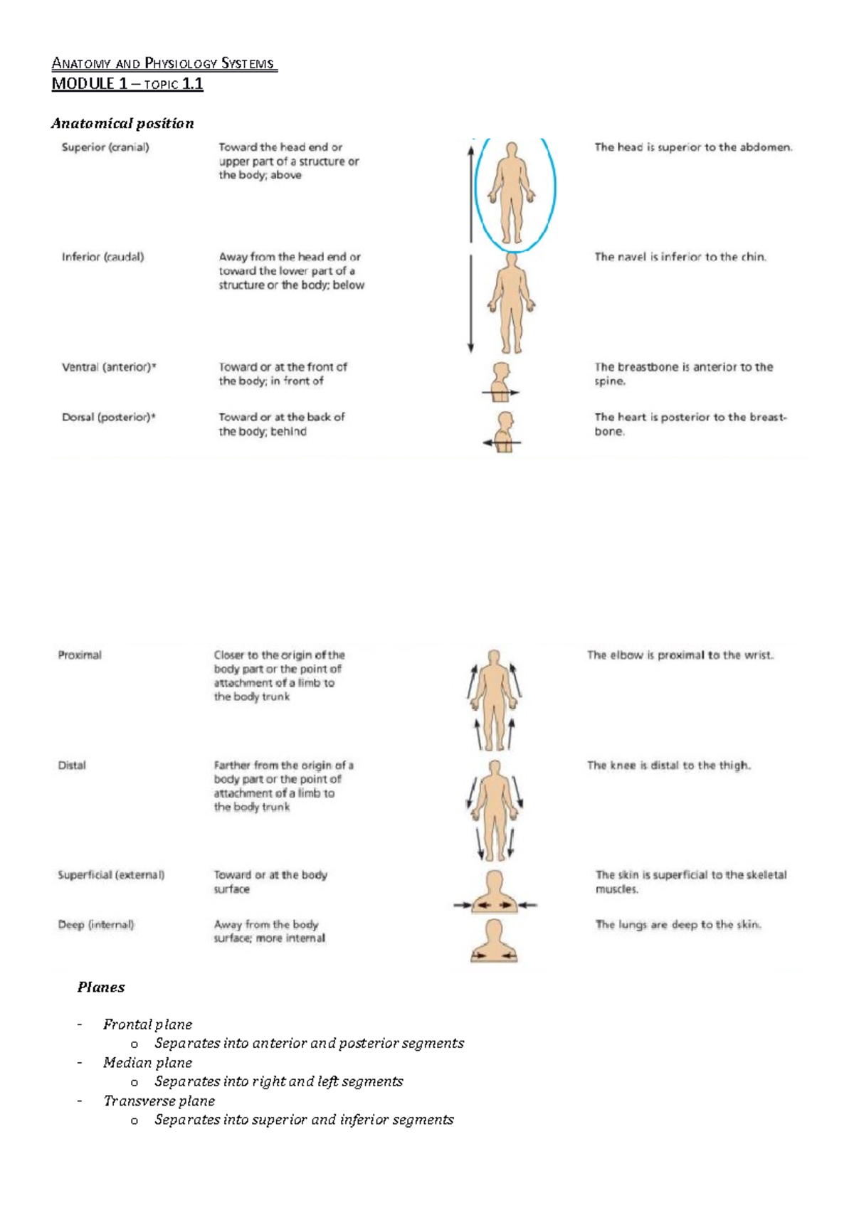 Anatomy and Physiology Systems - ANATOMY AND PHYSIOLOGY SYSTEMS MODULE ...