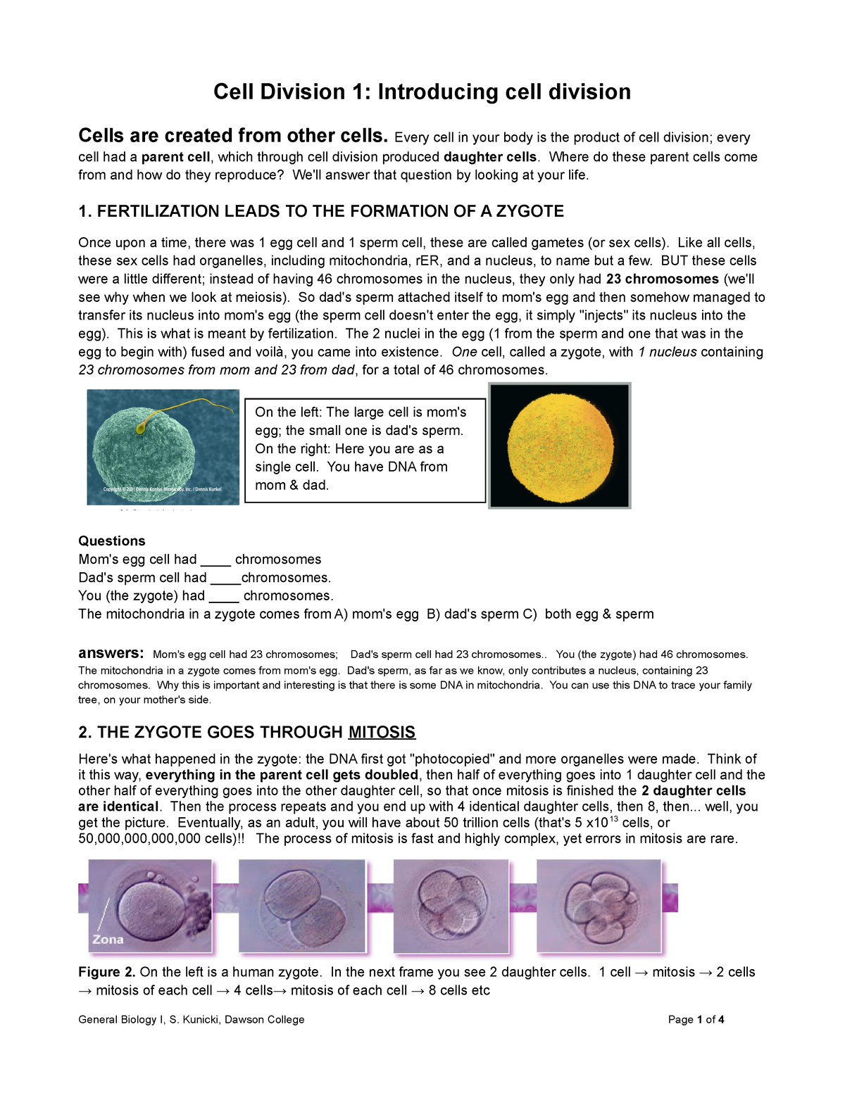 research paper about cell division