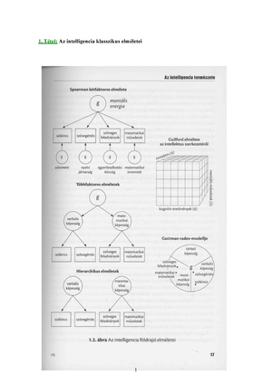 Pszicho 2 zh Tetelek Kidolgozva 1 1 T tel Az intelligencia