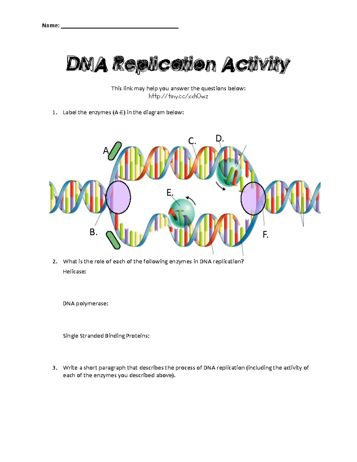 DNA Replication Activity - Name: DNA Replication Activity This link may ...