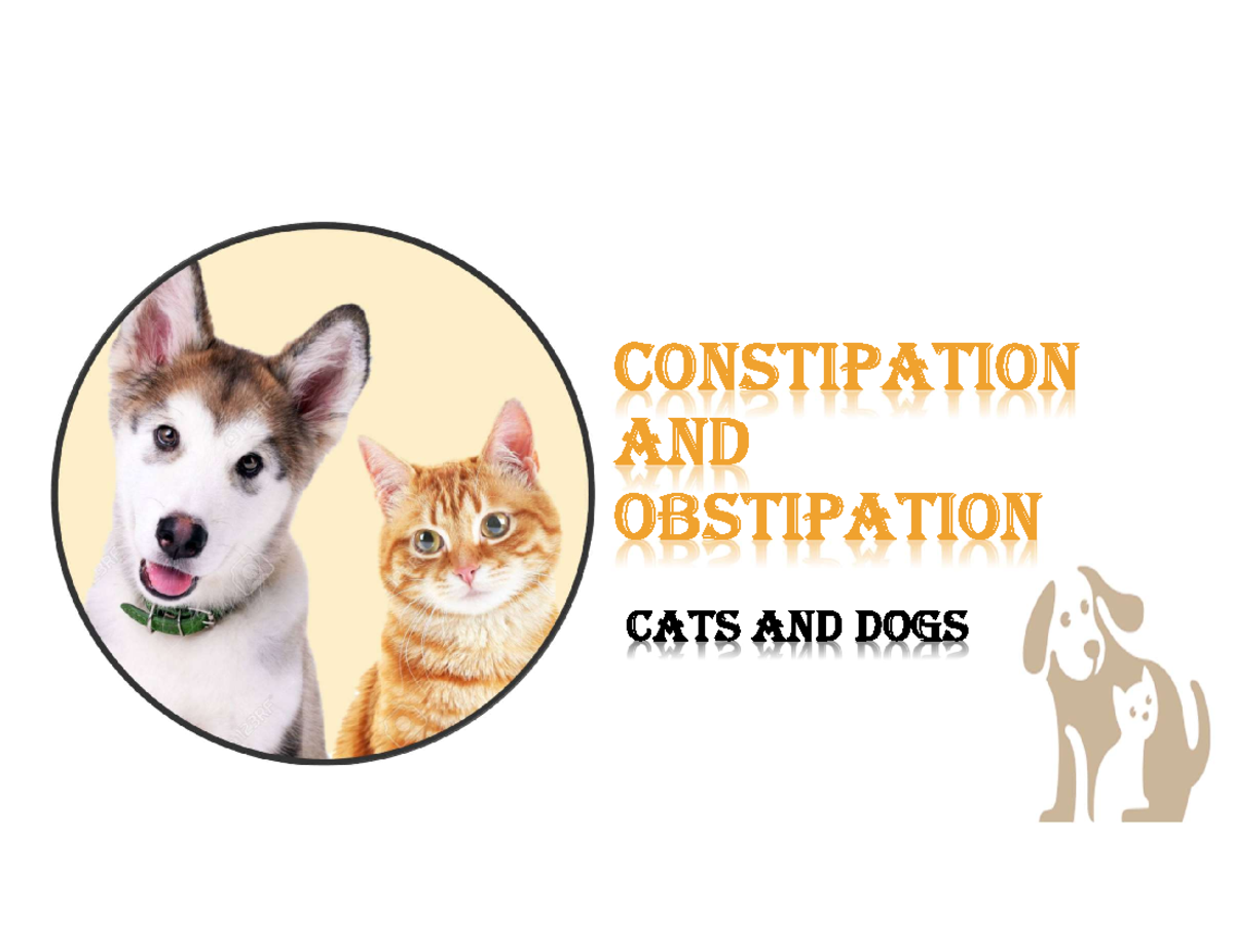 Constipation and Obstipation in cats and dogs - CONSTIPATION AND ...