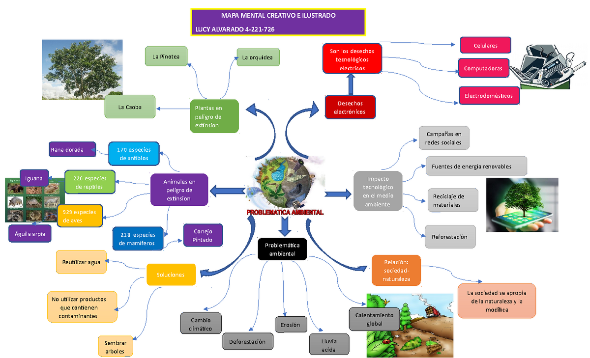 Mapa mental - MAPA MENTAL CREATIVO E ILUSTRADO LUCY ALVARADO 4-221- La  Pinotea La orquídea Celulares - Studocu
