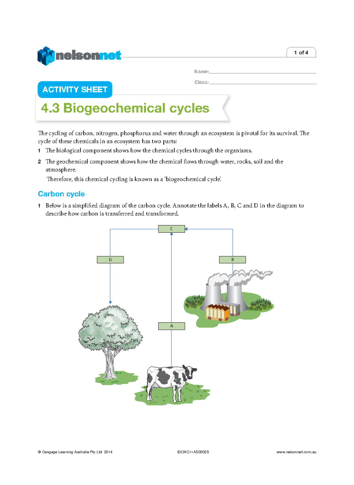 4.3 Biogeochemical Cycles - Name: Class: 4 Biogeochemical Cycles The ...