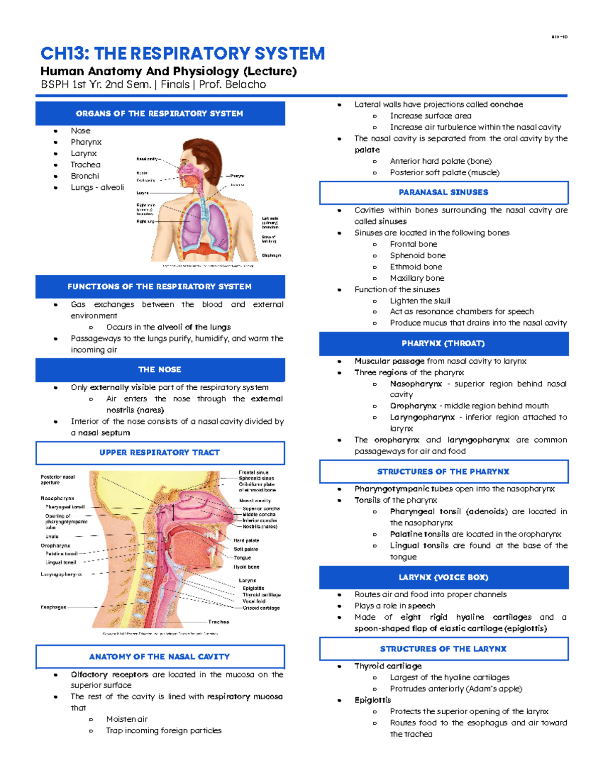 Anaphy LEC-CH13 - Forda Pharma - CH13: THE RESPIRATORY SYSTEM Human ...