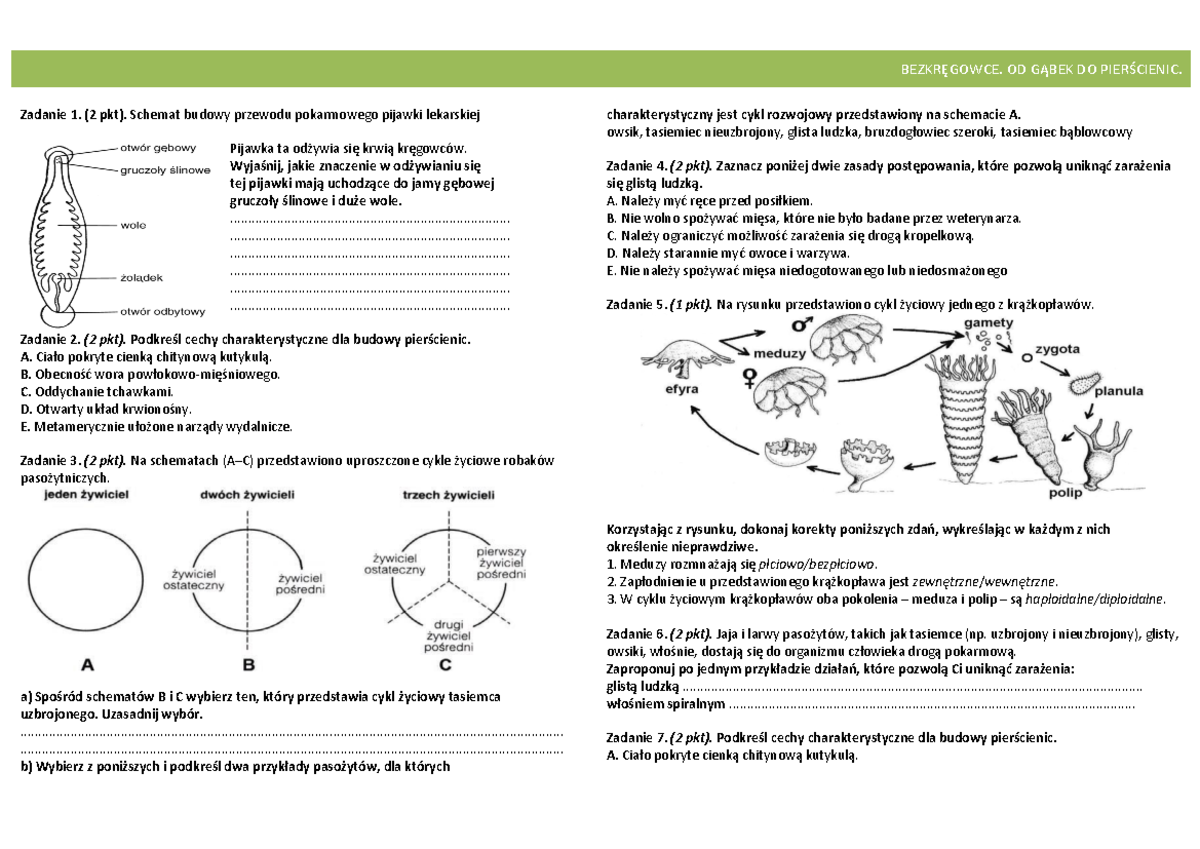Bezkręgowce Klasa 6 Sprawdzian
