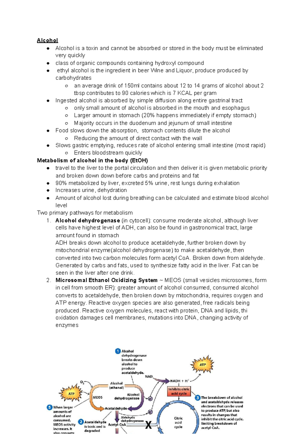 Alcohol Lecture notes 5 Alcohol Alcohol is a toxin and cannot be