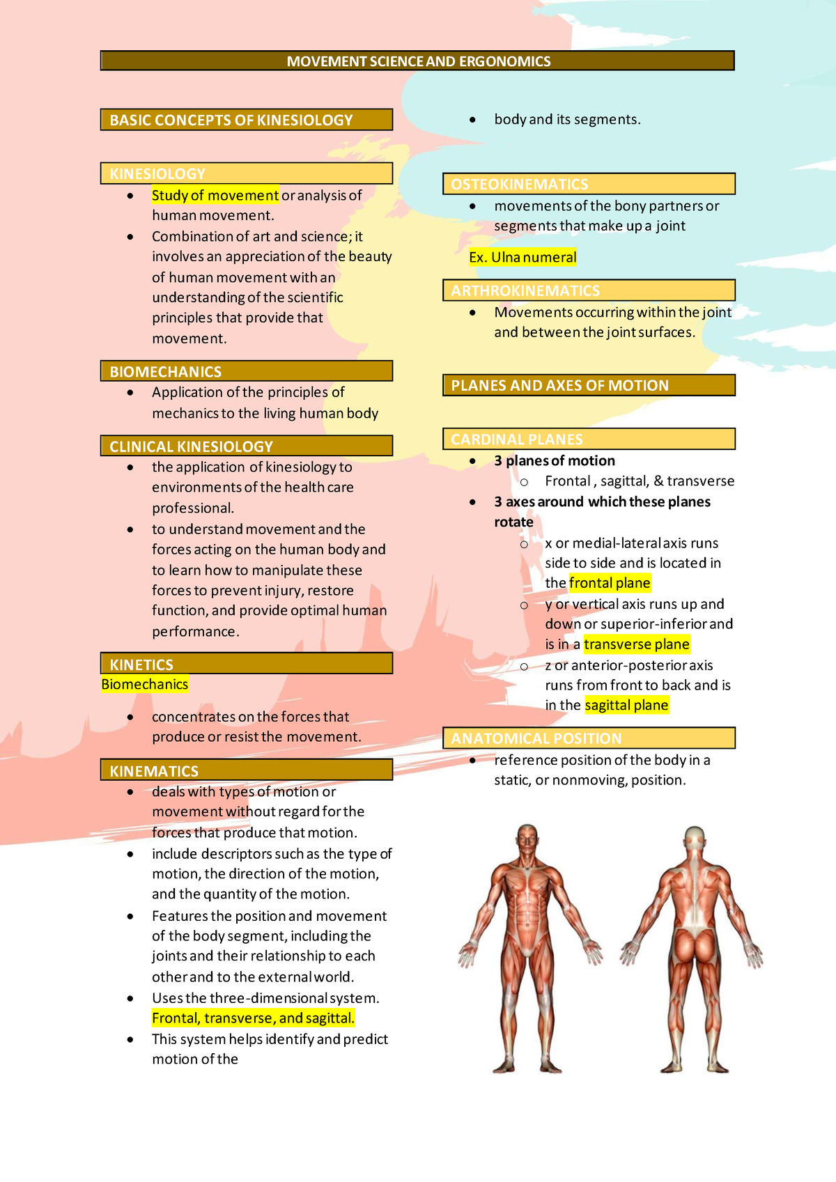 Basic Concepts Of Kinesiology - BASIC CONCEPTS OF KINESIOLOGY ...