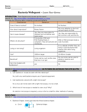 Introduction to bacteria and viruses worksheet answers