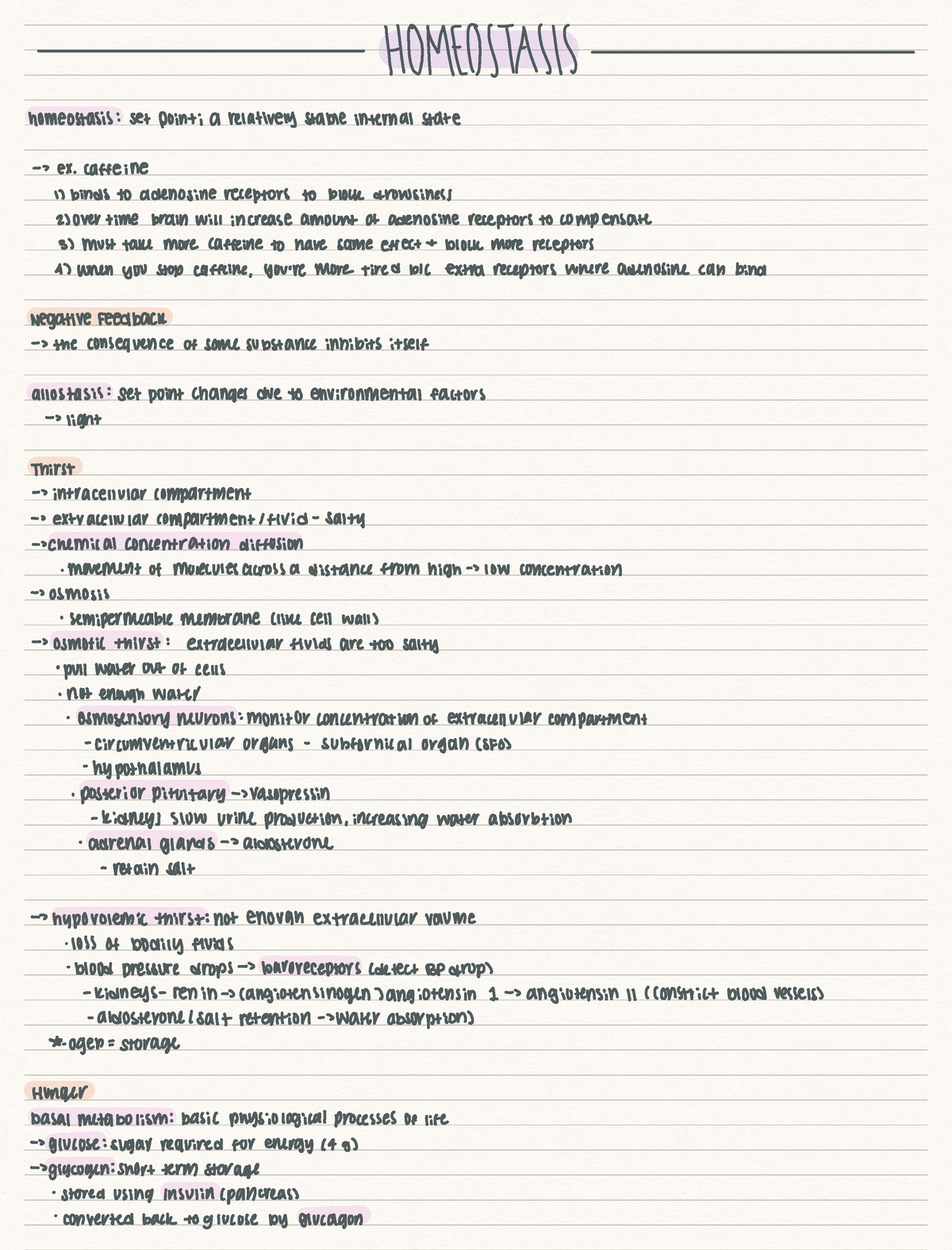 chapter-9-homeostasis-homeostasis-homeostasis-set-point-arelatively