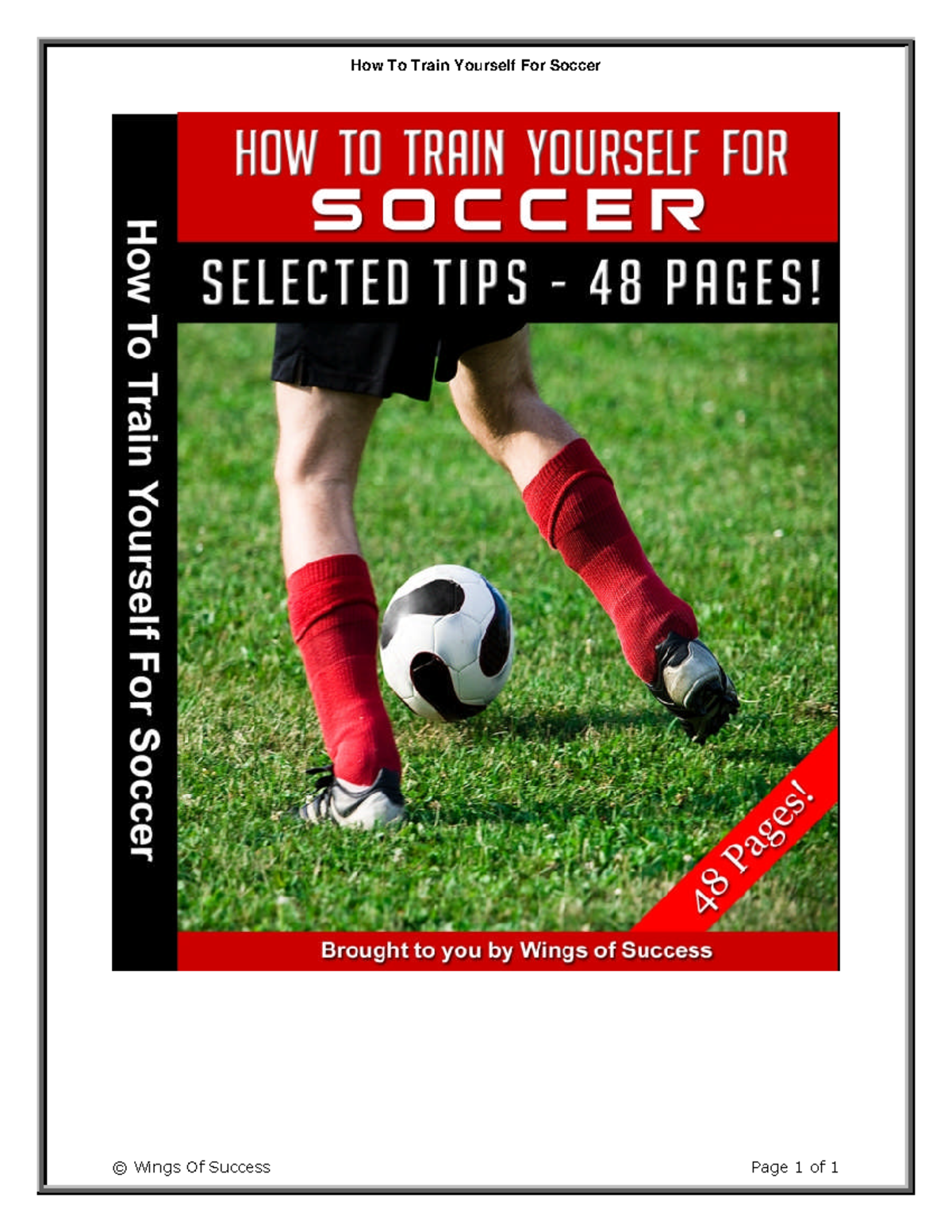 How to Train Yourself for Soccer DISCLAIMER AND TERMS OF USE