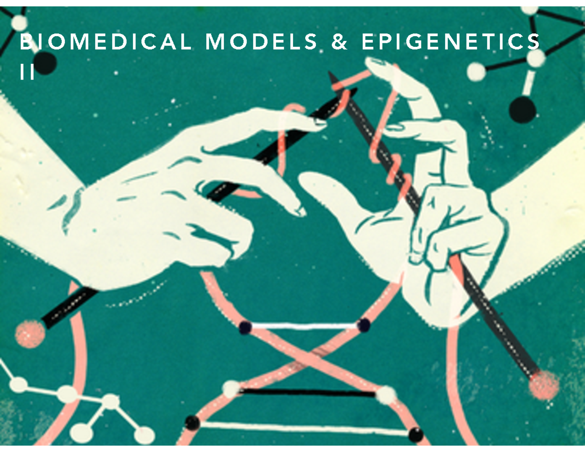 7 Biomed B I O M E D I C A L M O D E L S & E P I G E N E