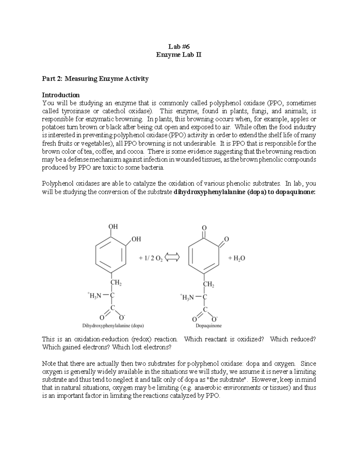 Bio 118 Lab 6 Enzymes II - Warning: TT: undefined function: 32 Lab ...