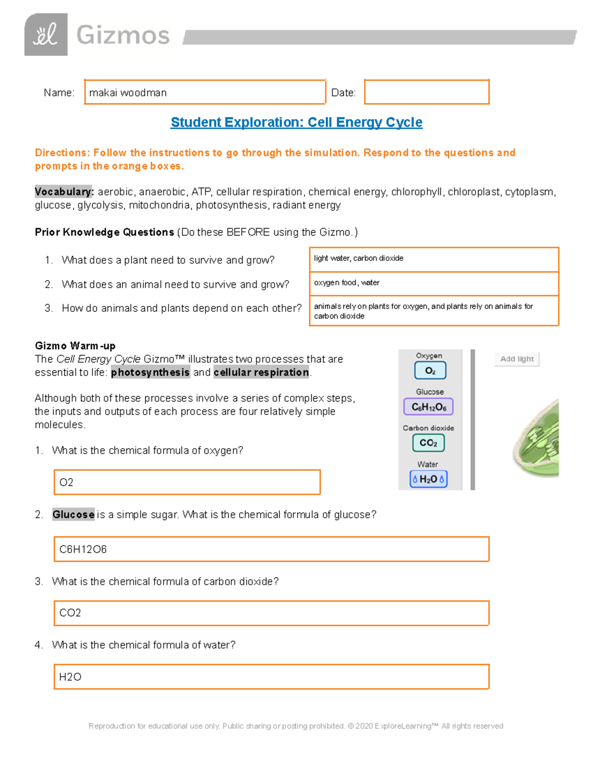 Copy of Cell Energy SE - Gizmo answer sheet - Name: makai woodman Date ...