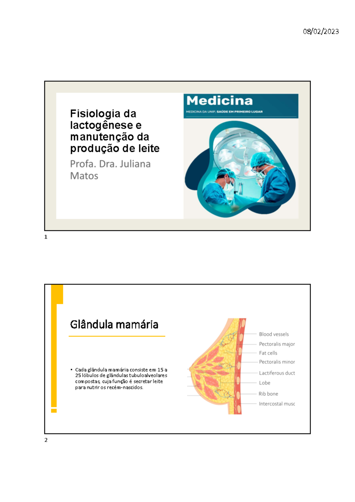 Captura de Tela 2023-02-28 à(s) 20 - ####### Fisiologia da ...