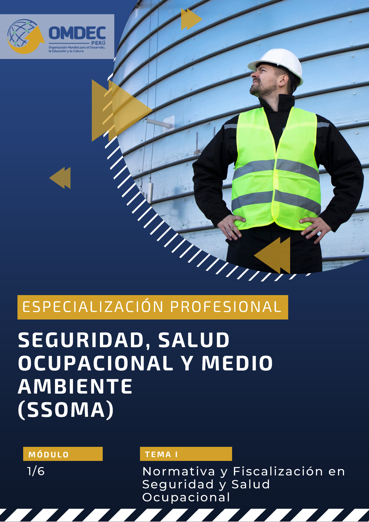 Manual DE Lectura MOD I Ssoma - SEGURIDAD, SALUD OCUPACIONAL Y MEDIO ...