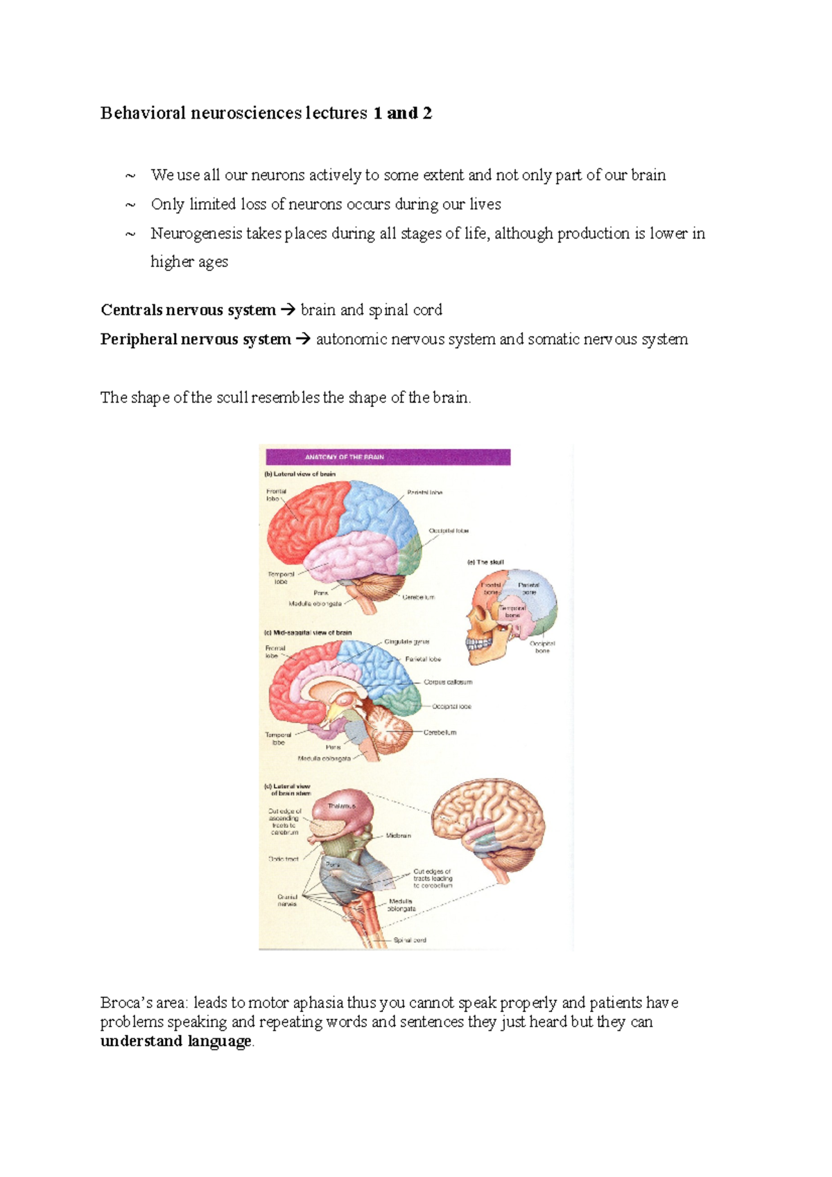 Behavioral Neurosciences Notes - Behavioral Neurosciences Lectures 1 ...