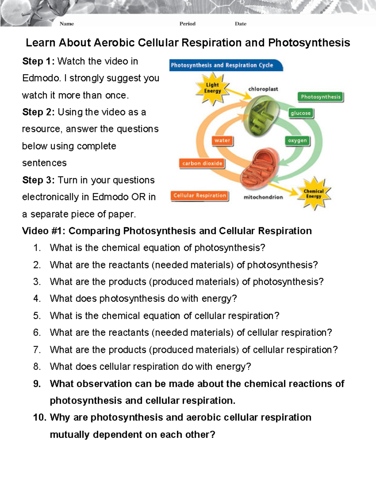 Video Reflection - Comparing Photosynthesis and Cellular Respiration ...