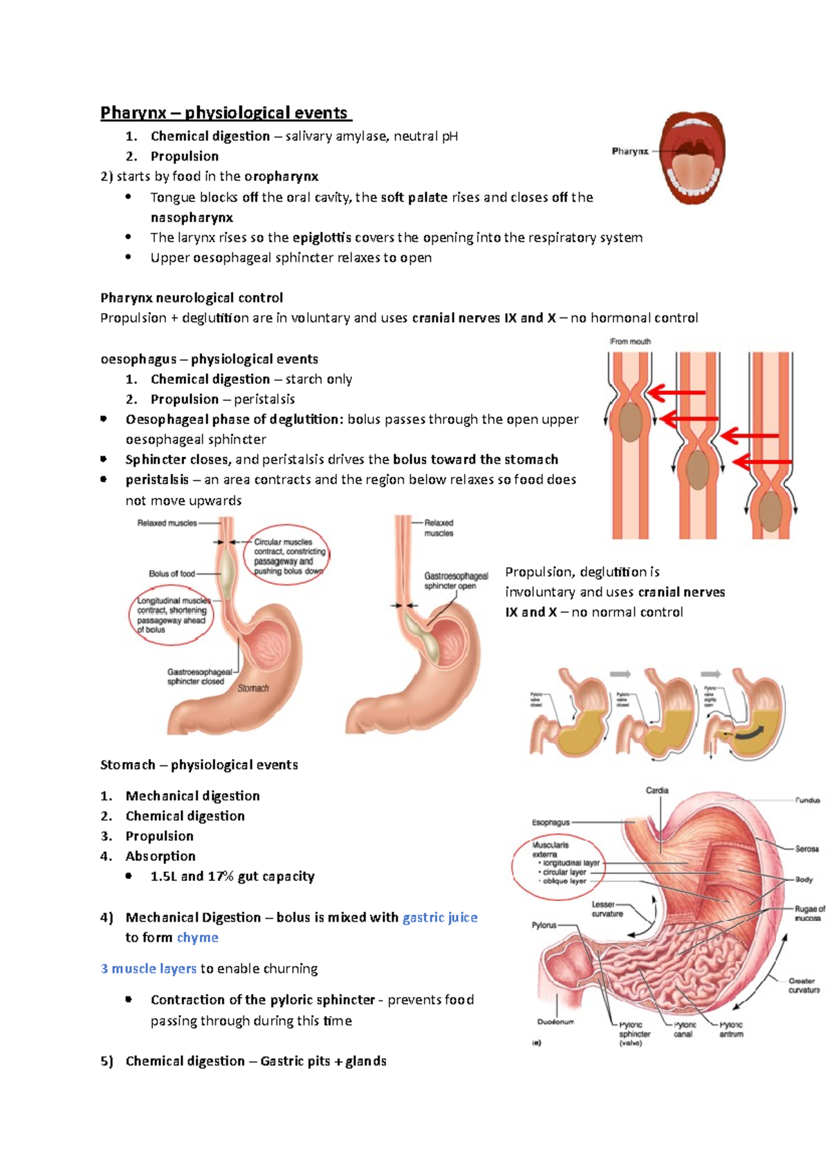 Lecture 2 Pharynx and stomach Pharynx physiological events 1