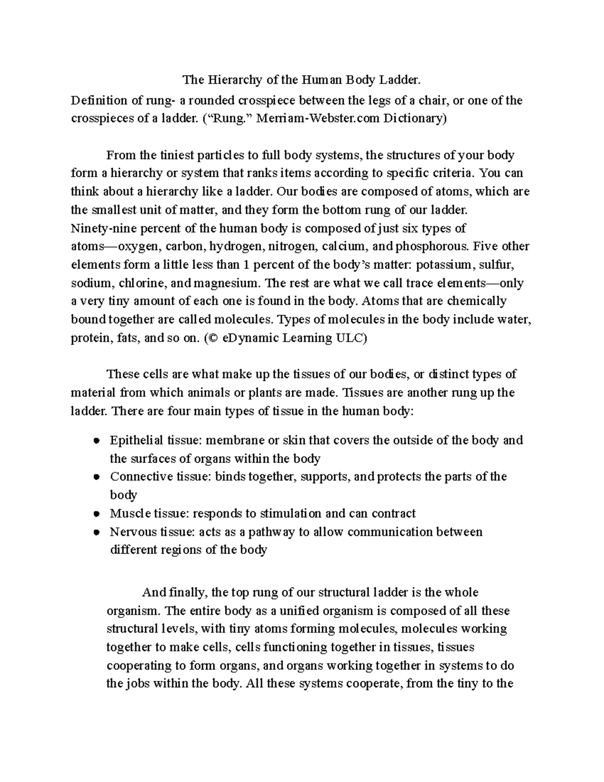 The Hierarchy of the Human Body Ladder Definition of rung a rounded