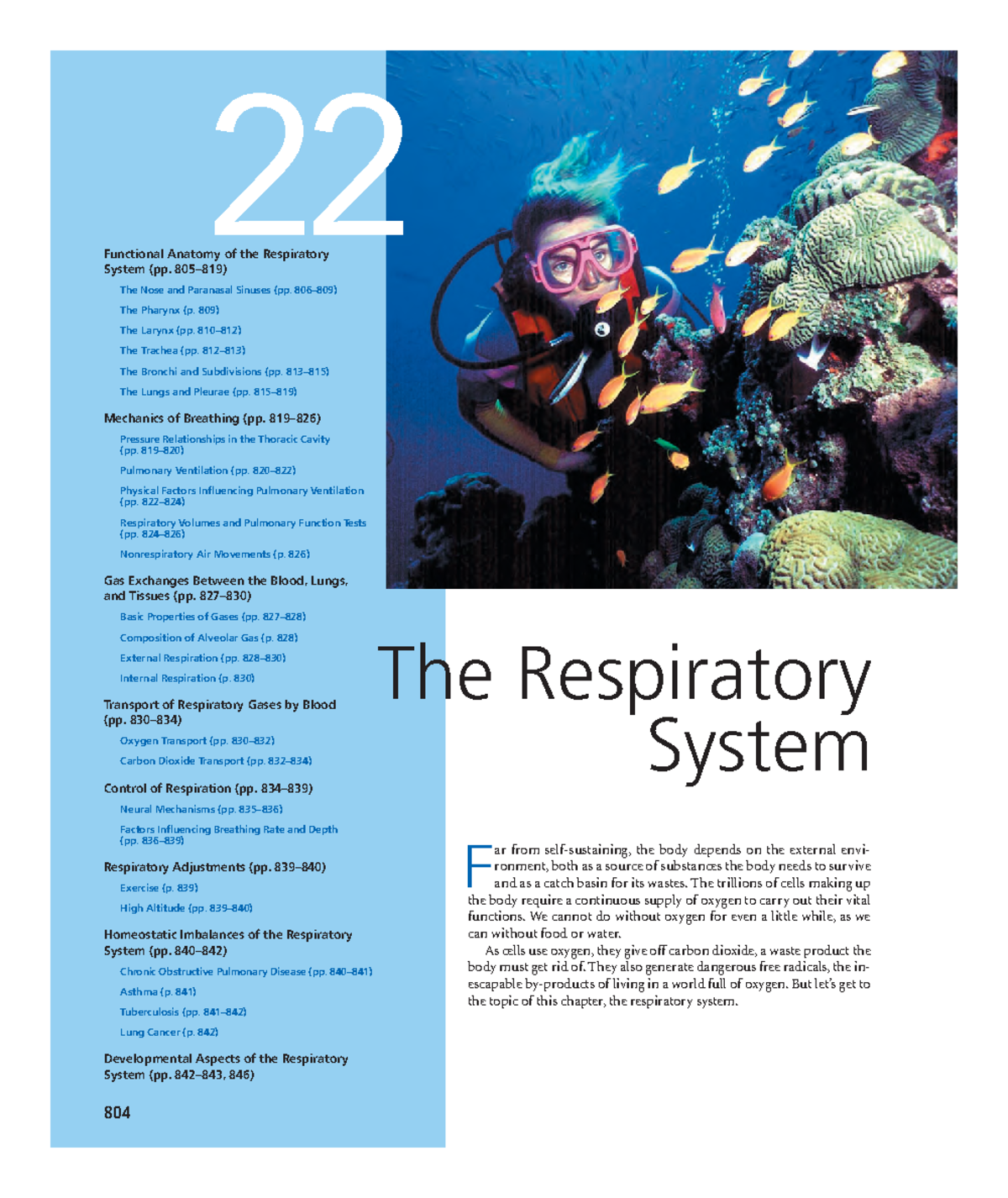 Marieb Chapter 22 - The respiratory System - F ar from self-sustaining ...