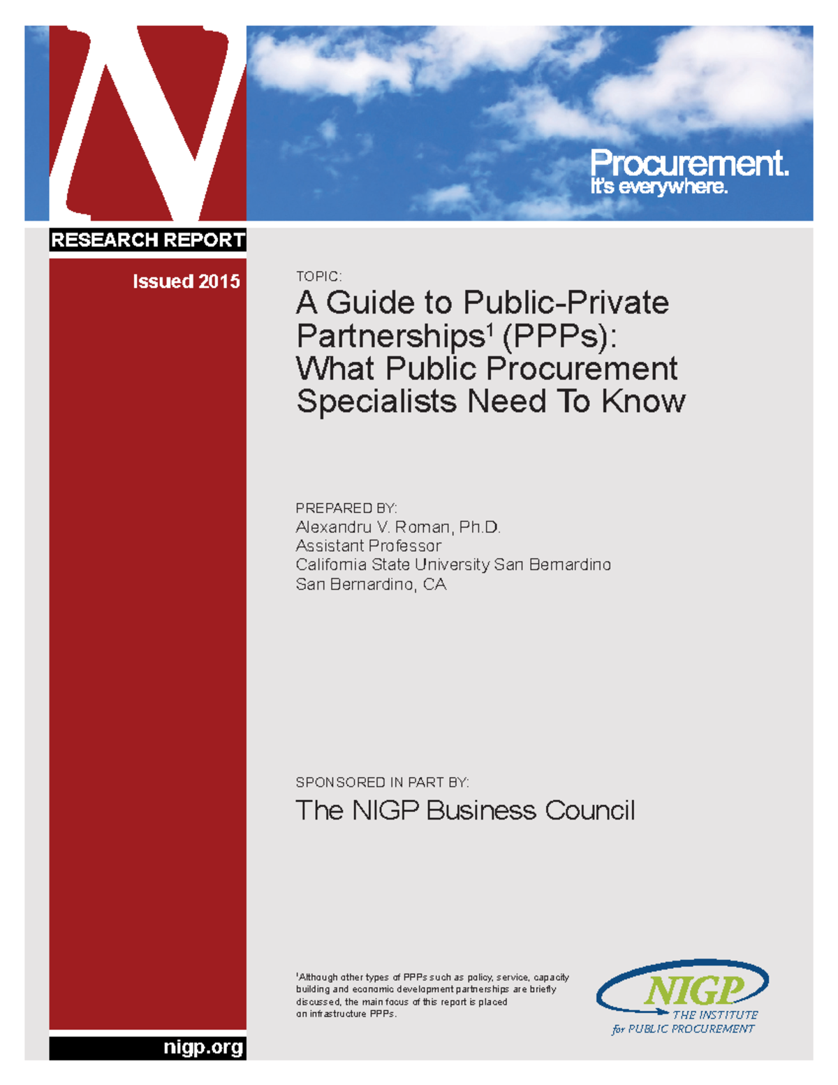 A Guide to Public-Private Partnerships PPPs - What Public Procurement ...