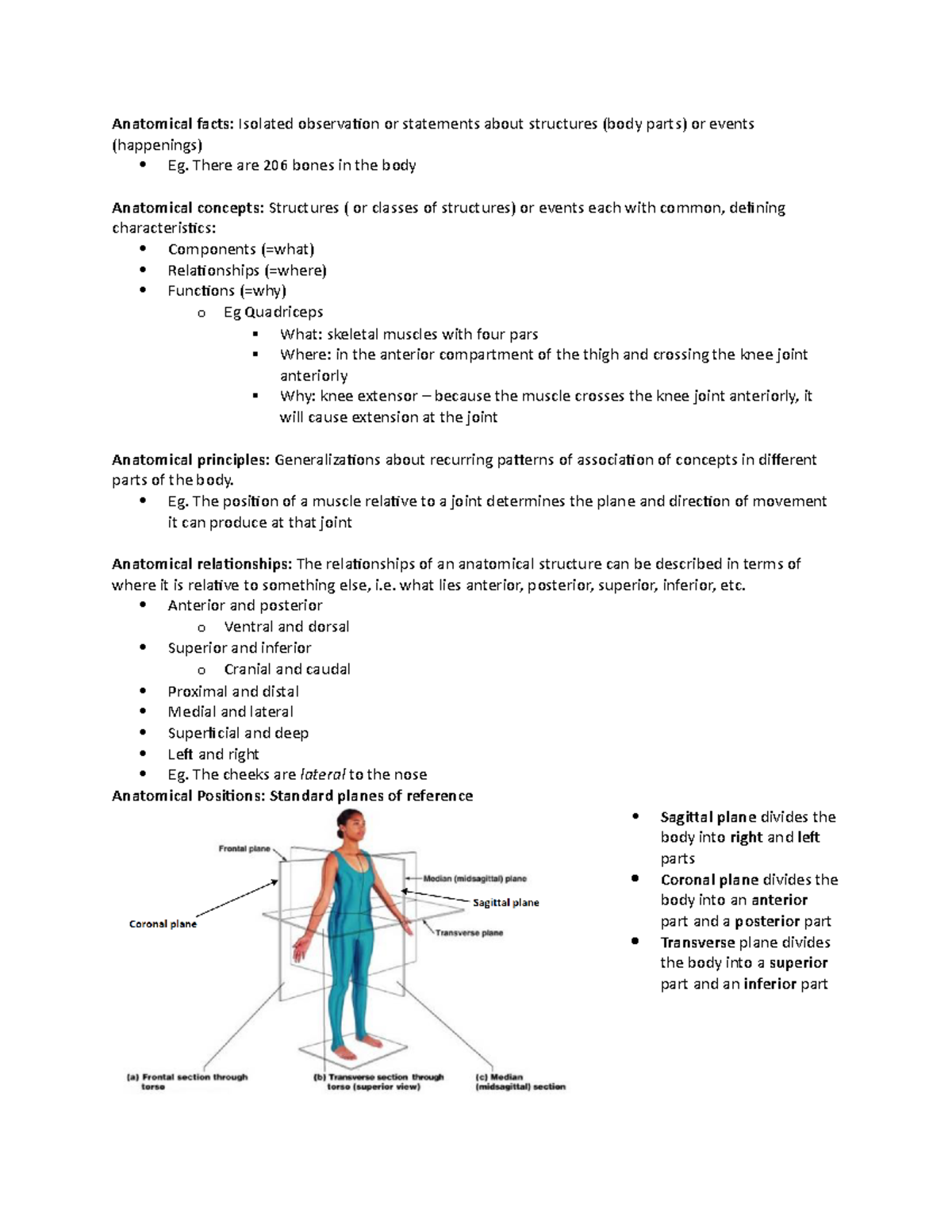 W1 notes - Anatomical facts: Isolated observation or statements about ...