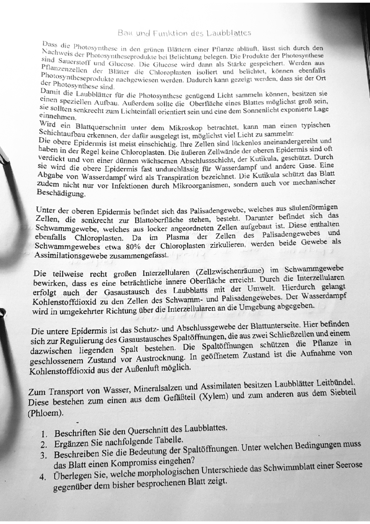 20211204 180549 - Bau und Funktion des Laubblattes - Biologie - Studocu
