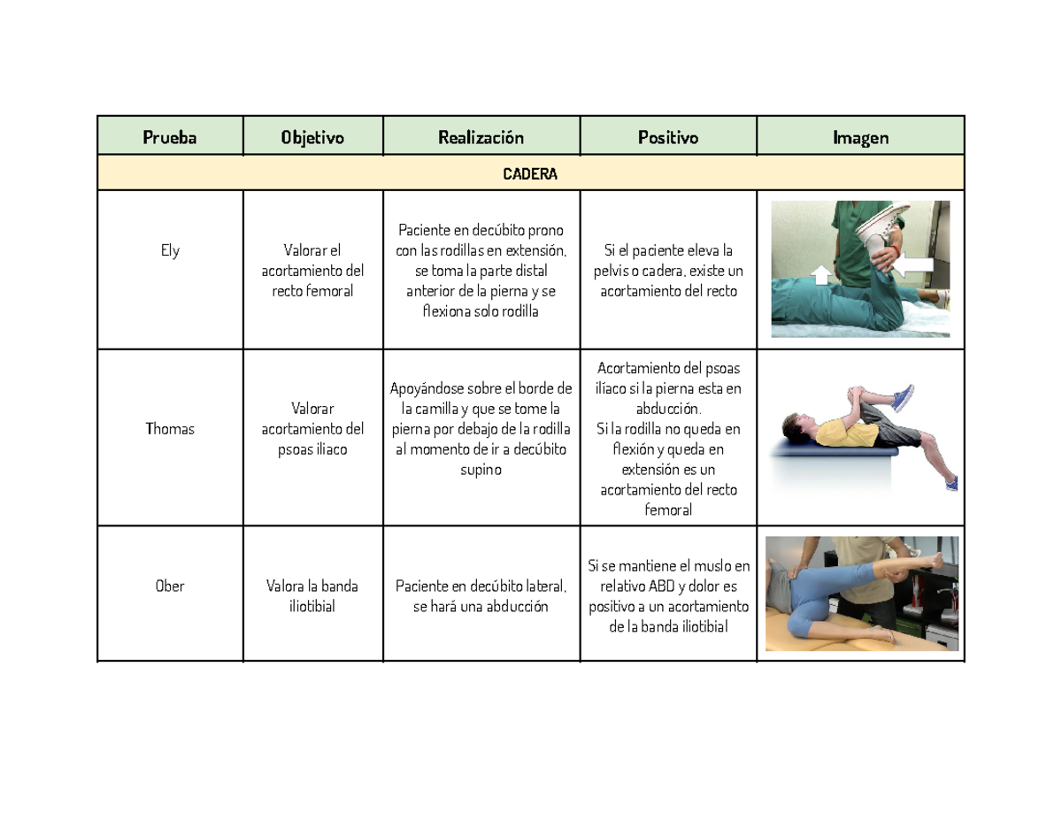 Libro De Pruebas Especiales Fisioterapia Pdf www.studocu.com