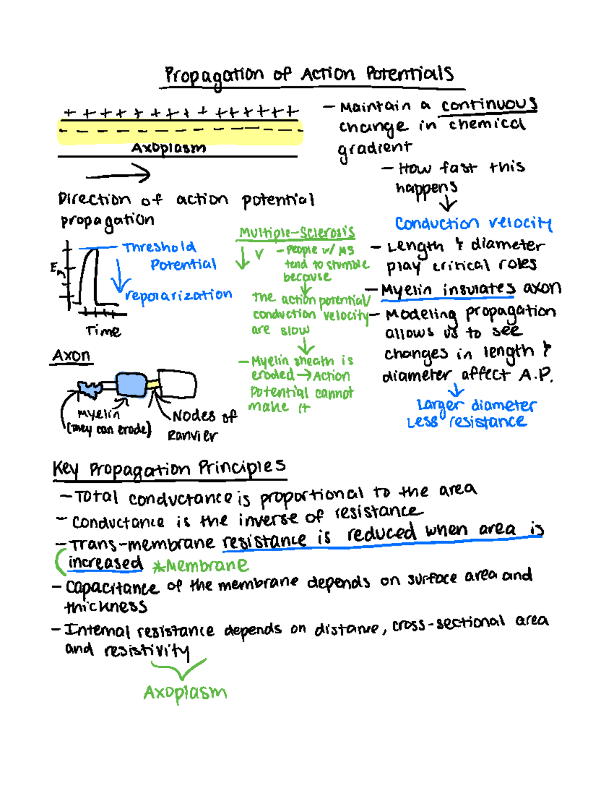 Lecture 10 - Propagation of Action Potentials - Propagation of Action ...