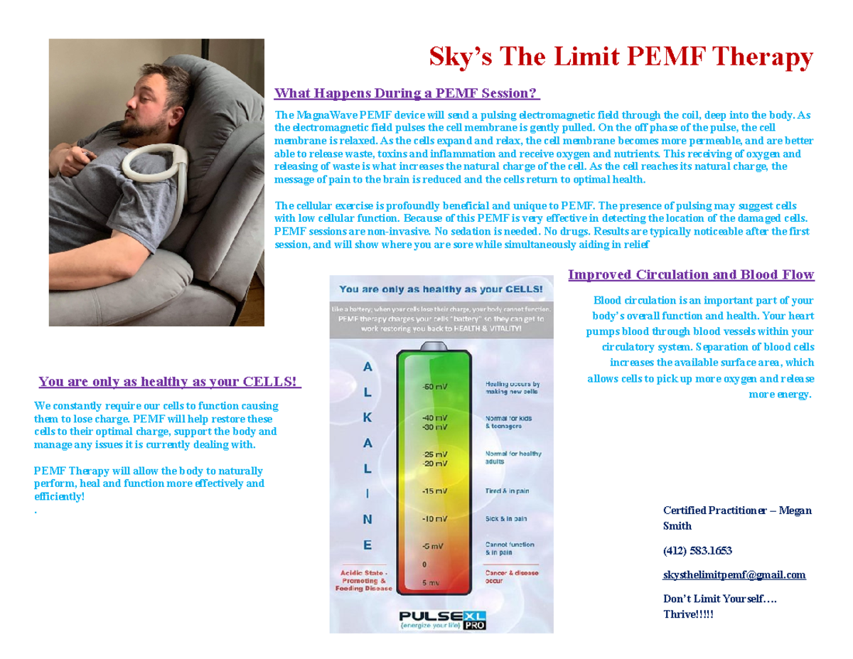 Explaining your business Assignment Sky’s The Limit PEMF Therapy What
