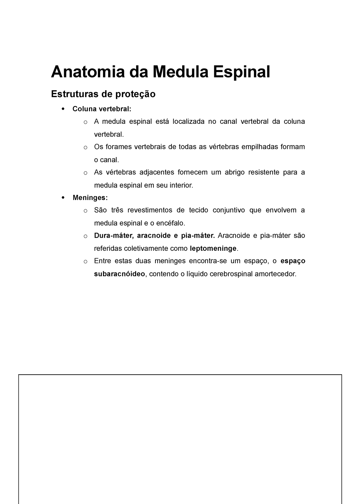 Anatomia Da Medula E Vias Neurais Anatomia Da Medula Espinal