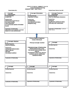 Nursing Care Plan For Clinical And Lecture - Forsyth Tech – Paul M 