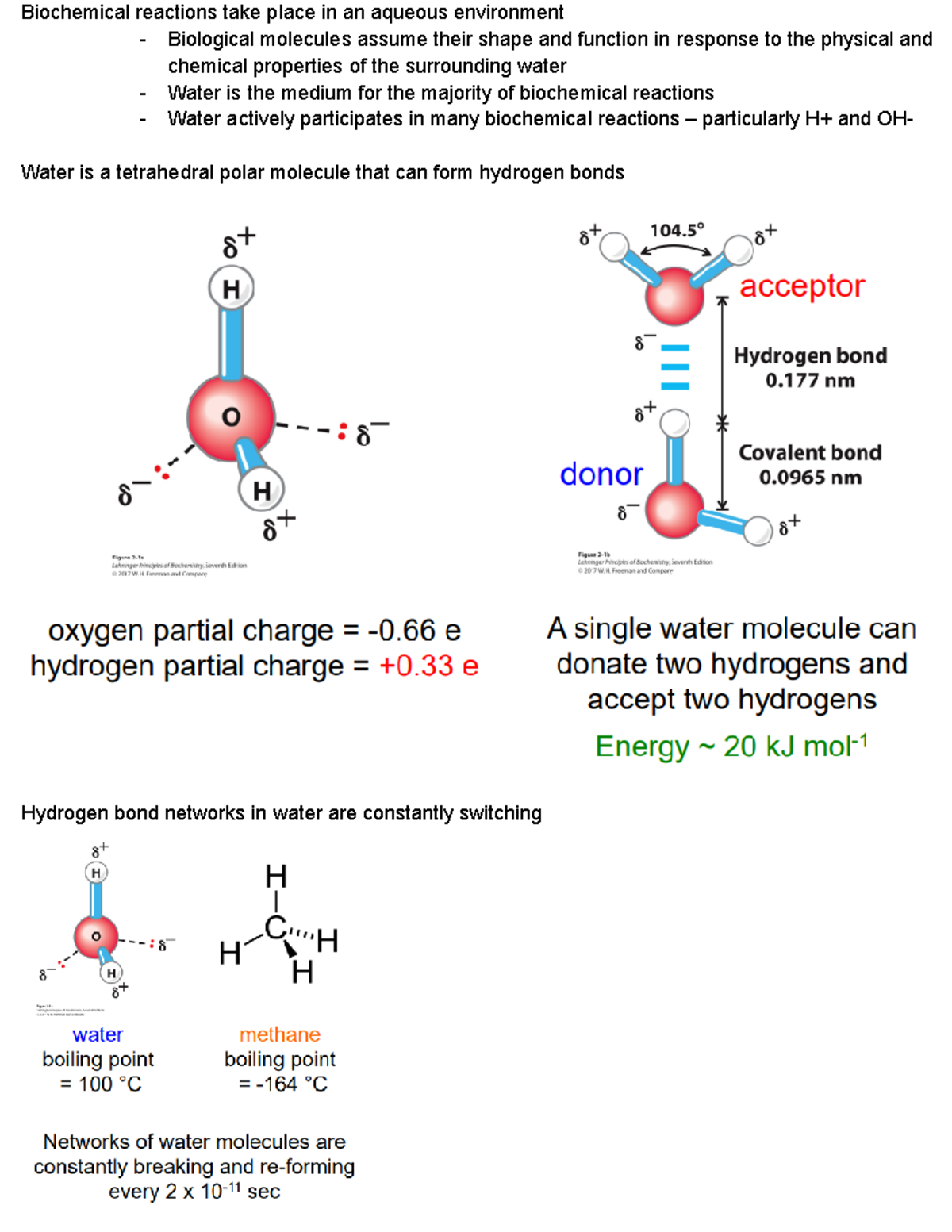 Lecture 2 Water and Buffers Biochemical reactions take place in an