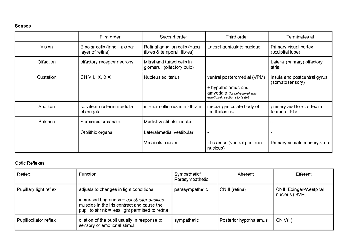 Vae 3 - Summaries For Everything For Vae 3 - Senses First Order Second 