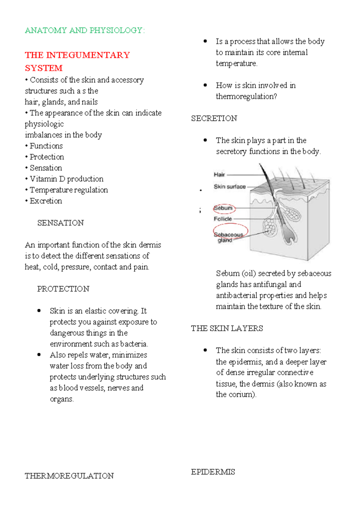 Anatom Y AND Physiology - ANATOMY AND PHYSIOLOGY: THE INTEGUMENTARY ...