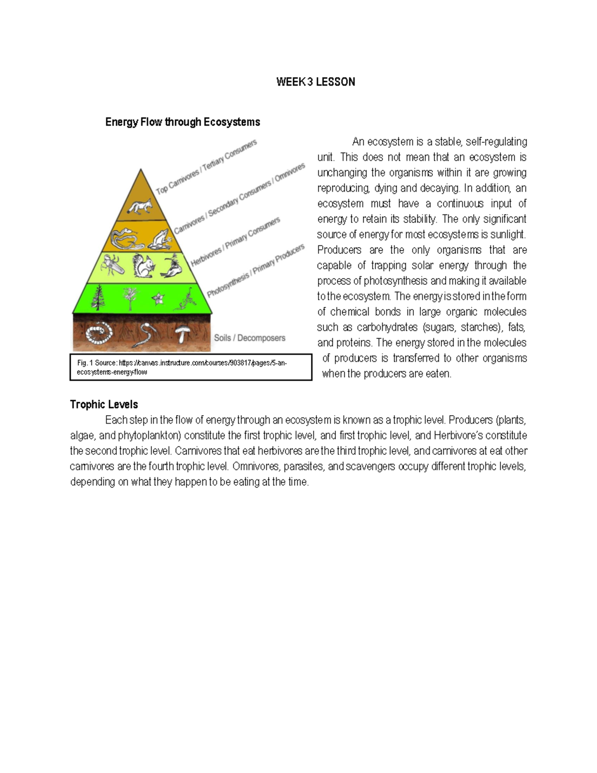 Inbound 2724120745132621404 - Week 3 Lesson Energy Flow Through 