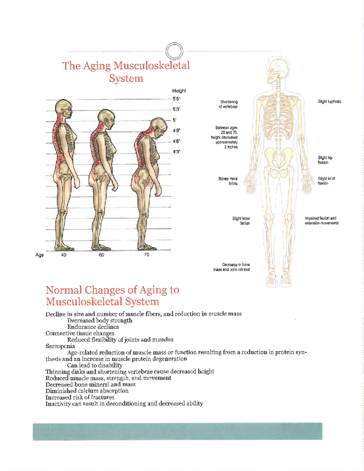 Pamphlet sample - important - HUM 130 - Studocu