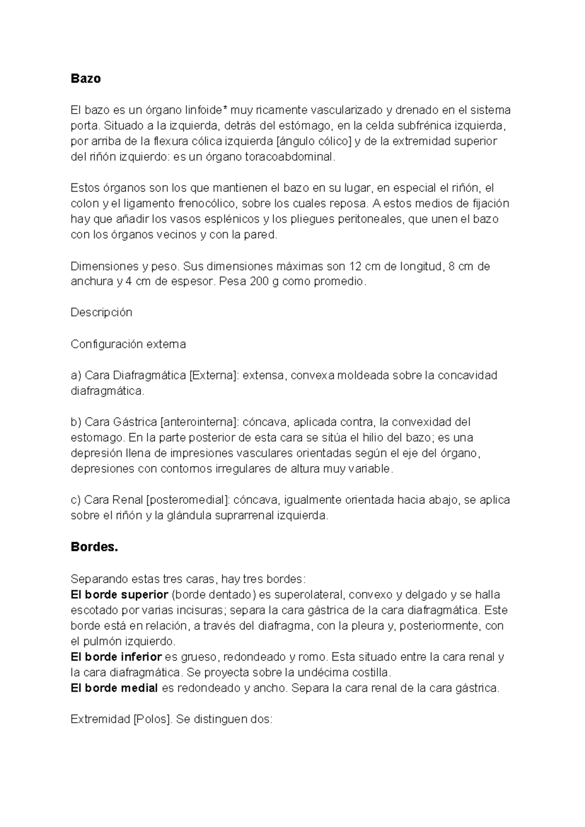 Bazo - Organo bazo - Bazo El bazo es un órgano linfoide* muy ricamente ...