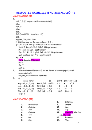 Correcció Respostes Dels Exercicis Dautoavaluació I