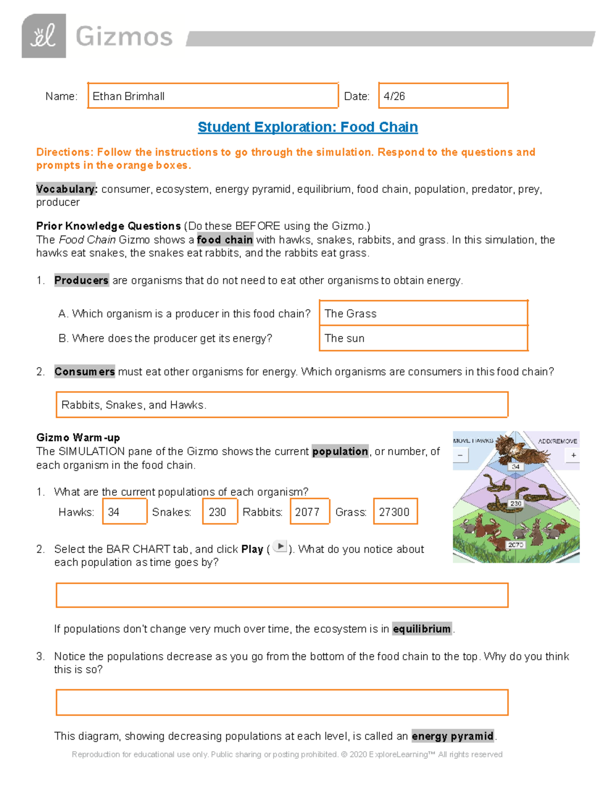 Ethan Brimhall Gizmo Food Chain 7471562 Name Ethan Brimhall Date