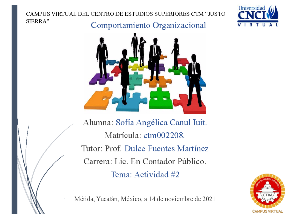 Actividad 2 - CAMPUS VIRTUAL DEL CENTRO DE ESTUDIOS SUPERIORES CTM