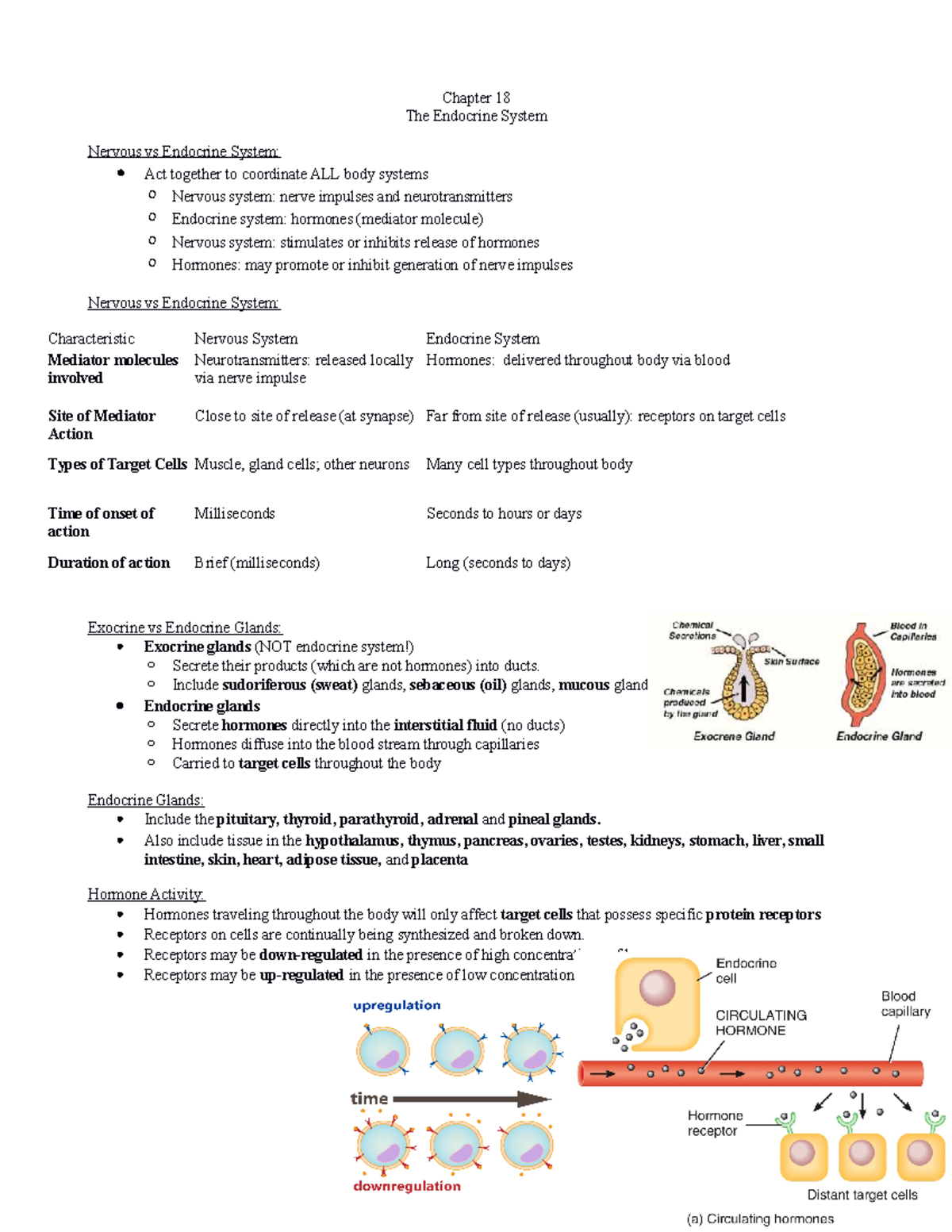 Ch 18 pt1 - Lectures will provide an overview of functional anatomy at ...