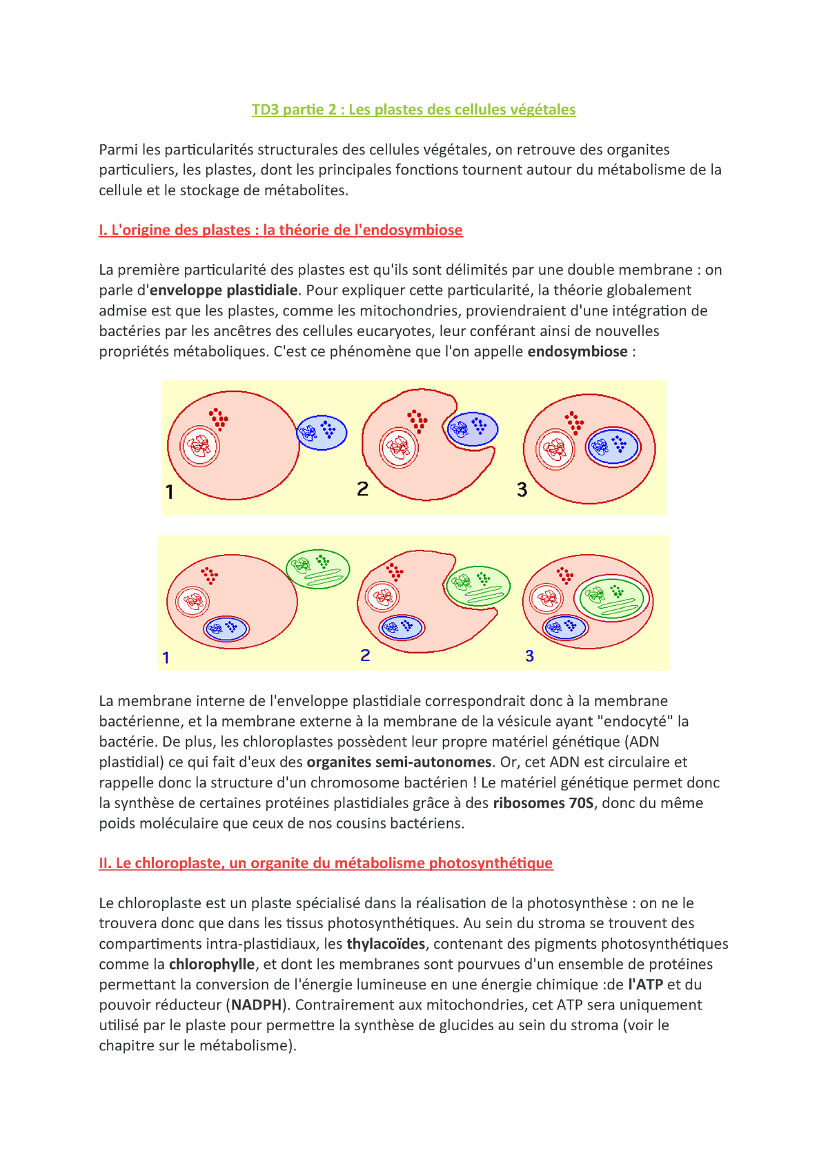 TD3 partie 2 : Les plastes des cellules vÃ©gÃ©tales - StuDocu