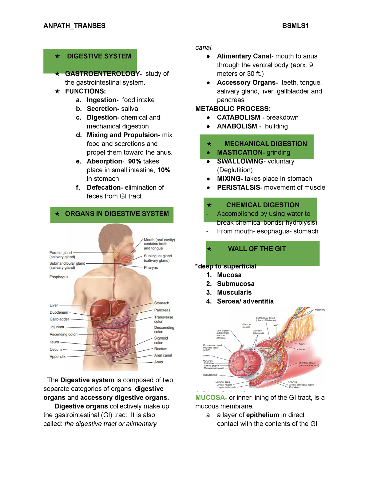 Digestive System Trans - ★ DIGESTIVE SYSTEM ★ GASTROENTEROLOGY- Study ...