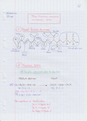 Chapitre 2.B La Croissance Bactérienne - CHAPITRE 2-B : LA CROISSANCE ...